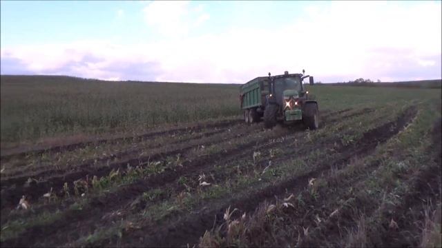 Siláže 2020 - Claas Jaguar 850 v kukurici смотреть онлайн