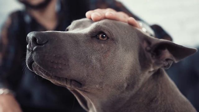 Евразия – решения для дома. Что для нас дом? смотреть онлайн