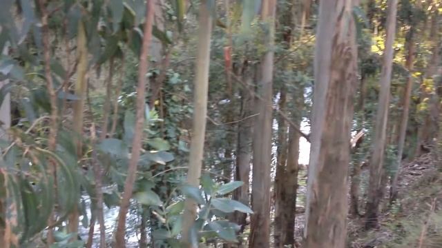 iPhone 4s Video Camera Test смотреть онлайн