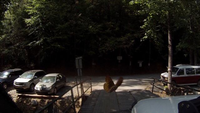 O|||||O Jeep Wrangler JK - Hikinig, Views, Towers, Waterfalls, River, Creek Crossings, Wood Bridges смотреть онлайн