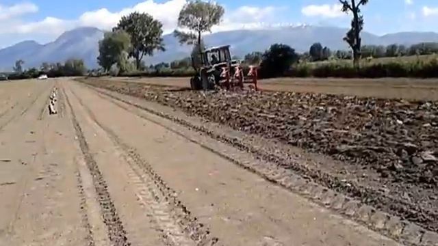 Lamborghini 956-100 смотреть онлайн