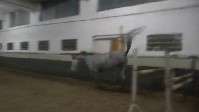 Кадриль смотреть онлайн