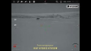 Охота на хищника с электронным манком iCOtec