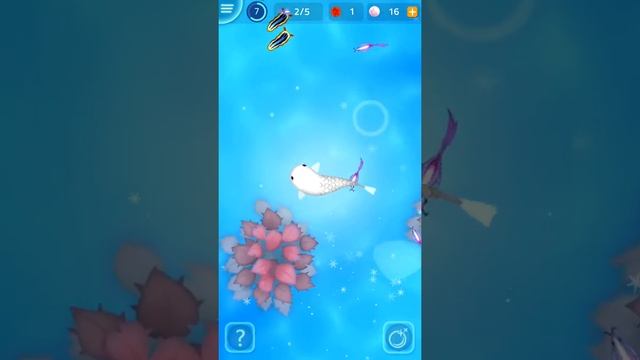 Zen Koi 2 IOS first Dragon gameplay смотреть онлайн