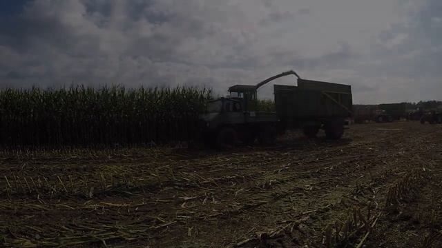 50 Jahre Class Jaguar 2023 смотреть онлайн