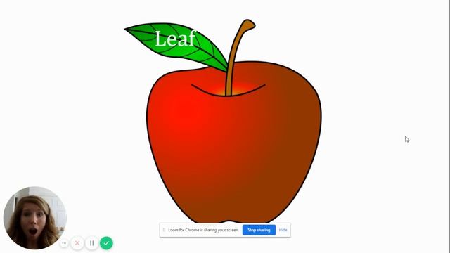 Parts of an Apple смотреть онлайн