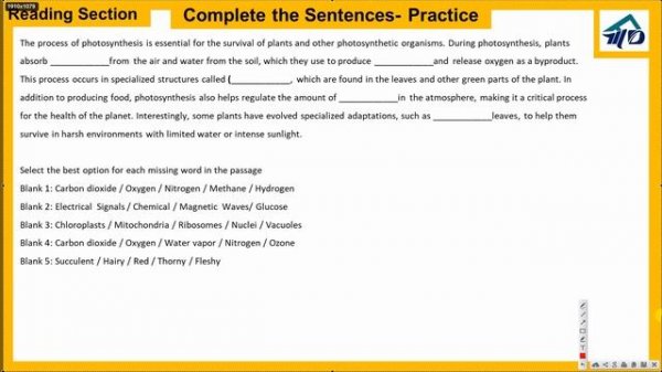 Complete the Sentences (Fill in the Blanks) - Interactive Reading Section (Duolingo English Test)