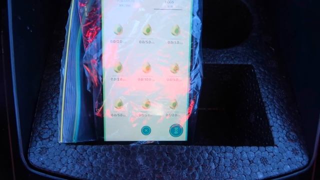 POKEMON GO - NEW IPHONE 7 LOST IN THE OCEAN смотреть онлайн