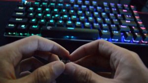 Outemu Brown Switch VS Outemu Blue Switch! Which one is better?