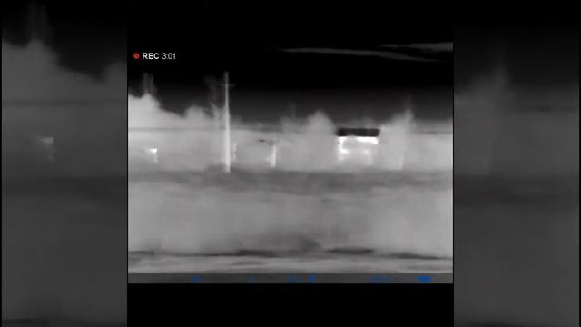 Шакалы атакуют))) смотреть онлайн