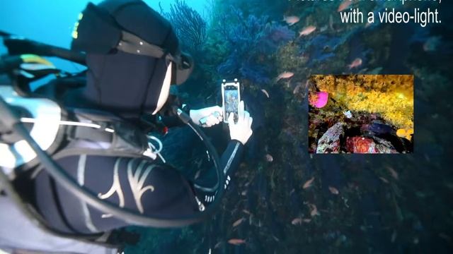 French Diving Magazine Plongez! testing DIVEVOLK SeaTouch 2 Pro with iPhone underwater смотреть онлайн