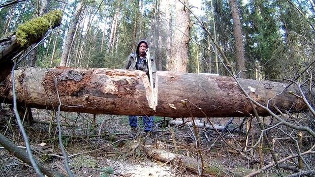 Bushcraft camp, wooden sledgehammer, a shovel, sawed wood 20 inches in DIA Eng sub смотреть онлайн