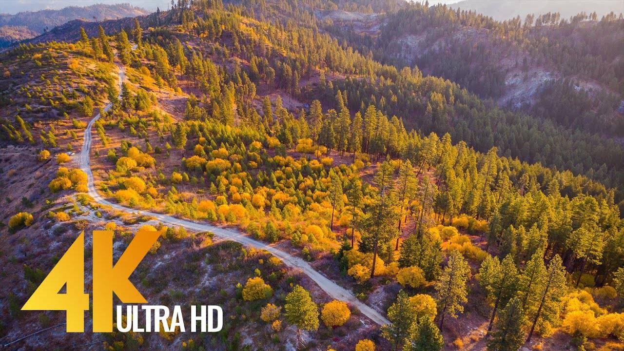 4K Drone Footage - Fall Colors of Mountain Home Road, Leavenworth, WA State - 3 Hour Drone Film смотреть онлайн
