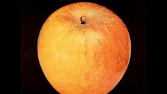 Apple - Pretty Girl I Love You смотреть онлайн