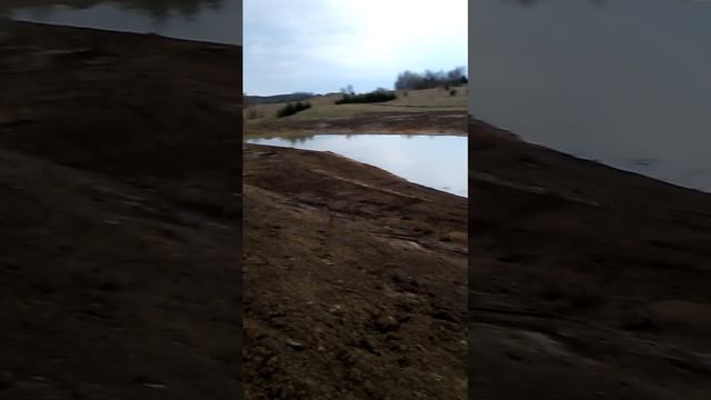 Fazenda смотреть онлайн
