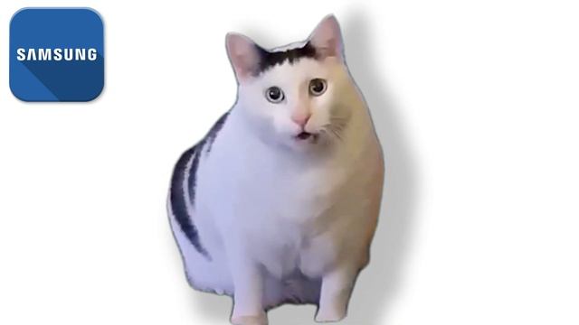 Huh Cat but famous phone ringtones смотреть онлайн