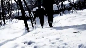 сява- лигалаиз