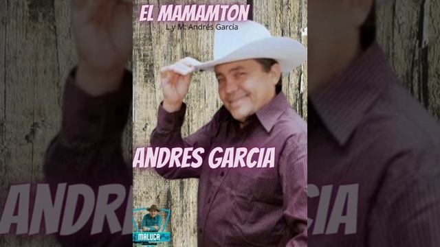 EL MAMANTON _ ANDRES GARCIA EL CAICAREÑO смотреть онлайн