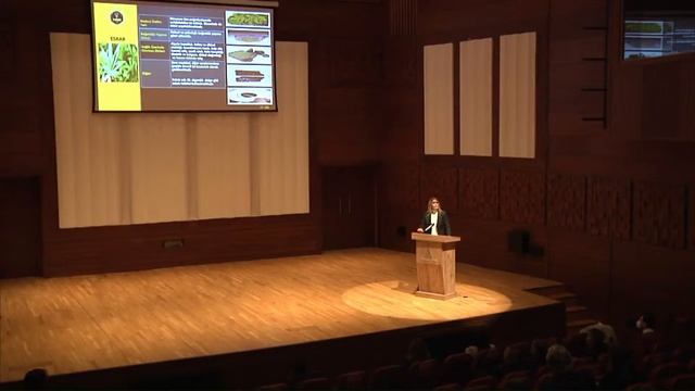 İZMİRE DAİR TV Canlı Yayını смотреть онлайн