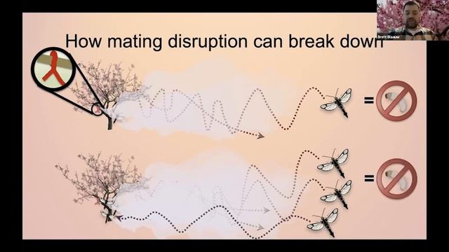 Using Mating Disruption and Entomopathogenic Nematodes for Peach Tree Borer Control смотреть онлайн