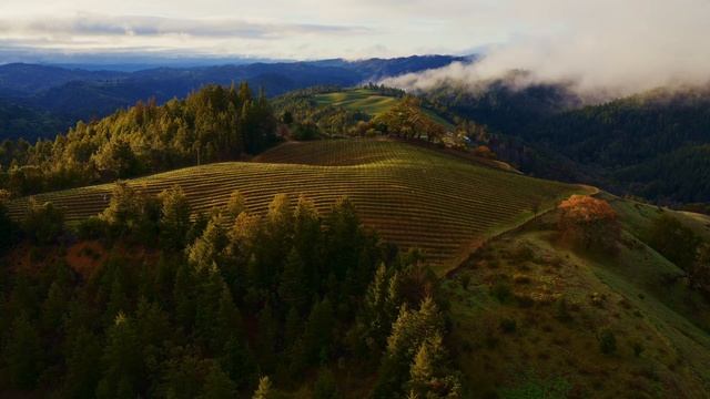 MacOS Sonoma Horizon Screen Saver in 4K - 1 Hour смотреть онлайн
