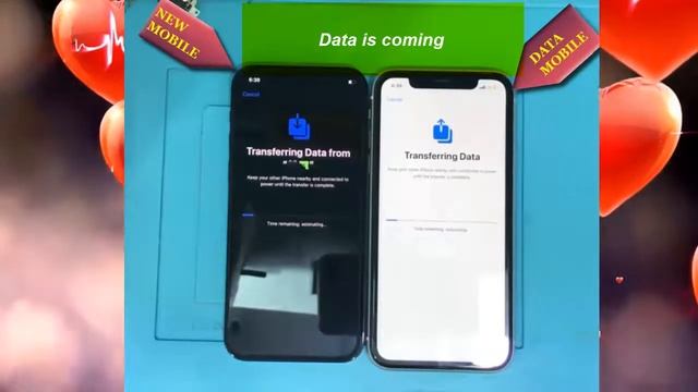 How to Transfer All Data Old iPhone to New iPhone | iphone to iphone data transfer смотреть онлайн