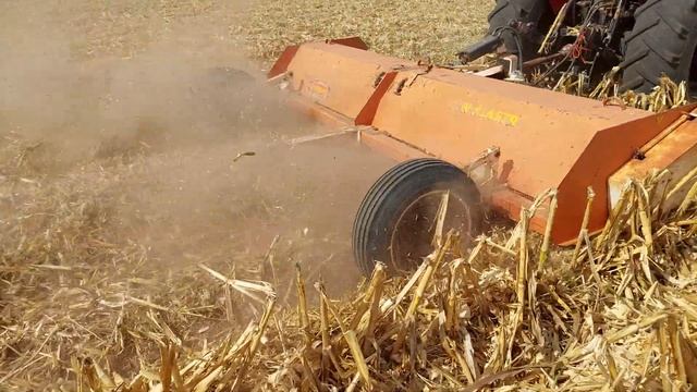 case 105U triturando soca de maiz block 506 Valle del Yaqui смотреть онлайн