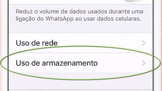 Como apagar só vídeo, imagem ou áudio de uma conversa do WhatsApp no iPhone. смотреть онлайн