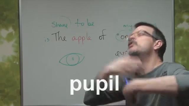 Idiom - The apple of one's eye смотреть онлайн