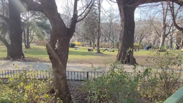 Весна в Венском парке . Самое любимое время года .👍🌷 смотреть онлайн