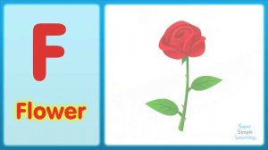 The F Song (Uppercase) | Super Simple ABCs