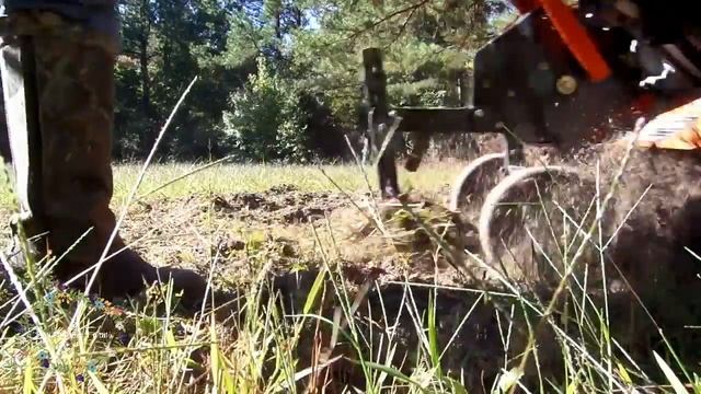 How to Grow Apple Trees in Georgia | Preparing the soil смотреть онлайн