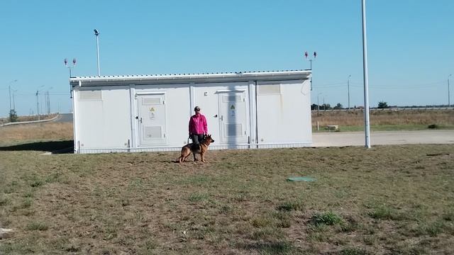 Выстрел KATANA V. HEERBUSCH (Don Di Casa Caputi – Whitney V.d. Berghofer-Heide)