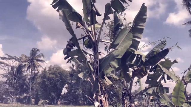 iPad mini 6 cinematic video(1080p 60fps) смотреть онлайн