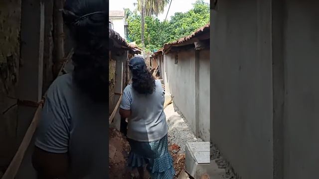 my tentant rosalina fernandes doing dadagiri fatorda gawalivadoo margao goa смотреть онлайн