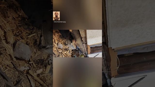 КАК СПАСТИ СВОЙ ДОМ ОТ ГНИЕНИЯ И ГНИЛИ И ПЛЕСЕНИ. ОБРАБОТКА ДРЕВЕСИНЫ БРЕВНА ОТРАБОТКОЙ смотреть онлайн