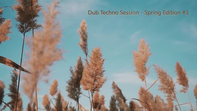 Dub Techno Session - Spring Edition #3 смотреть онлайн