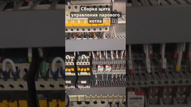 Сборка щита управления Lexicon для парового котла Teplofor Lexor #производство #электрика #кип смотреть онлайн