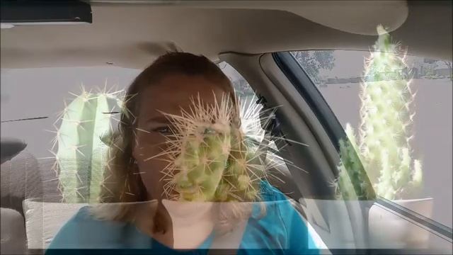 Я МЕНЯЮ РАБОТУ.🍎 ПЕРВАЯ ЗАЯВКА. Сколько их потребуется? Valentina OK LifeinUSA (жизнь в США) смотреть онлайн