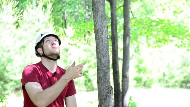 DMM XSRE Carabiners used for pulling a rope into a tree смотреть онлайн