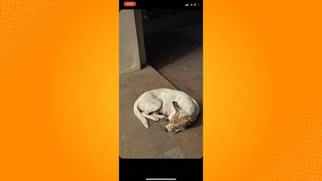 How to Change Background Color on Instagram Stories (On iPhone) (2023) смотреть онлайн