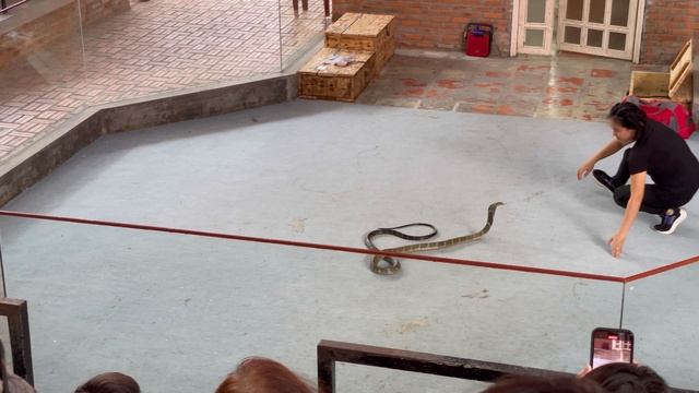 #Вьетнам🇻🇳Нячанг. Пагода Лонг Шон( Белого Будды). Обзорная экскурсия. Сентябрь 2024 смотреть онлайн