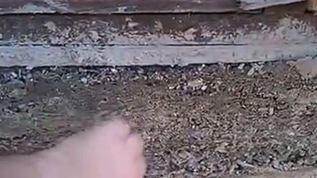 Арболит смотреть онлайн