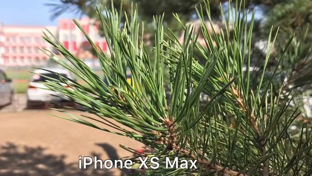 Redmi Note 8 Pro vs iPhone XS Max. Camera comparison смотреть онлайн
