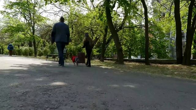 Похитители детей - кто они? Социальная реклама "Киднеппинг" смотреть онлайн