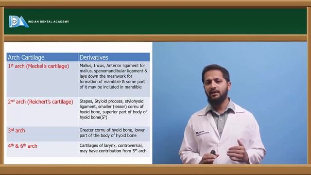 Morphological development of craniofacial structures | Orthodontics | #NEET#MDS#BDS#NBDE#ORE#DDS смотреть онлайн