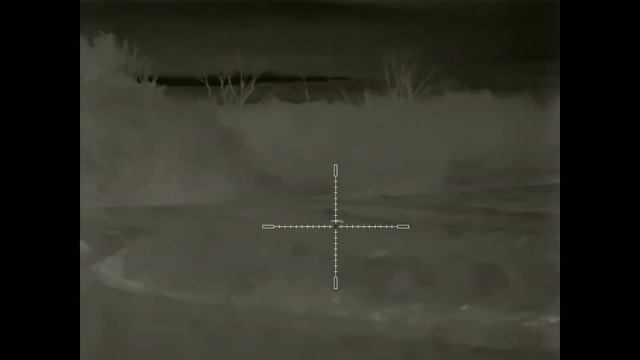 Охота на шакала ночью, идут на манок. смотреть онлайн