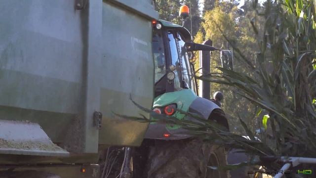 Silage in Závitkovice | Claas Jaguar 860 | Black and green Deutz-Fahr смотреть онлайн