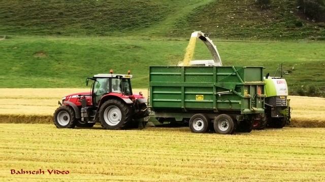 Whole-Crop Barley Silage with veteran Claas Jaguar 850. John Deere support. смотреть онлайн