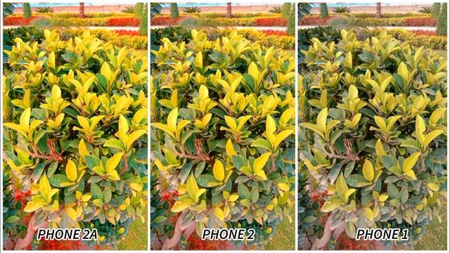 Nothing Phone 2a Vs Nothing Phone 2 Vs Nothing Phone 1 Camera Test Comparison смотреть онлайн
